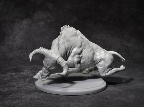 Nero (with riding Septimus)