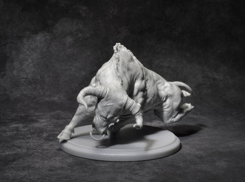 Nero (with riding Septimus)