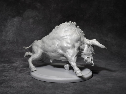 Nero (with riding Septimus)