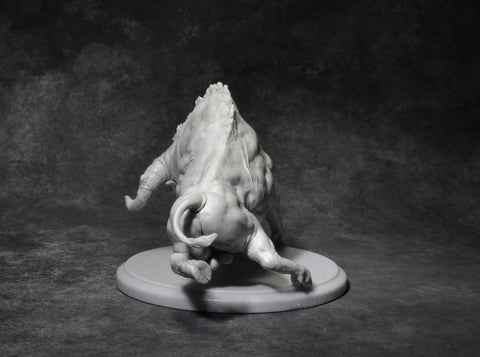 Nero (with riding Septimus)