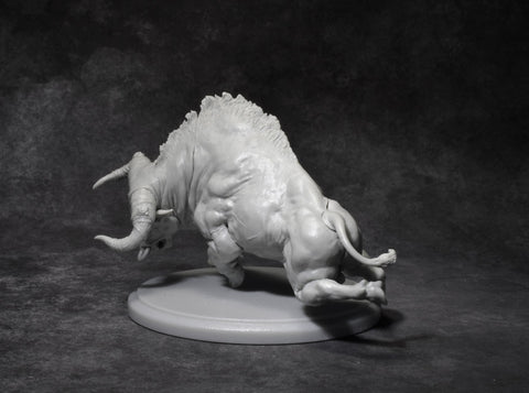 Nero (with riding Septimus)