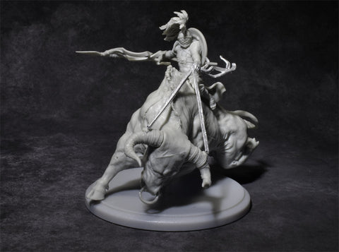 Nero (with riding Septimus)