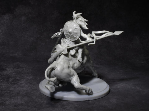 Nero (with riding Septimus)