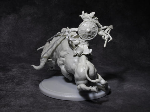 Nero (with riding Septimus)