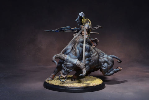 Nero (with riding Septimus)