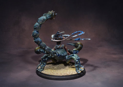 Sereqet (with riding Zahra)